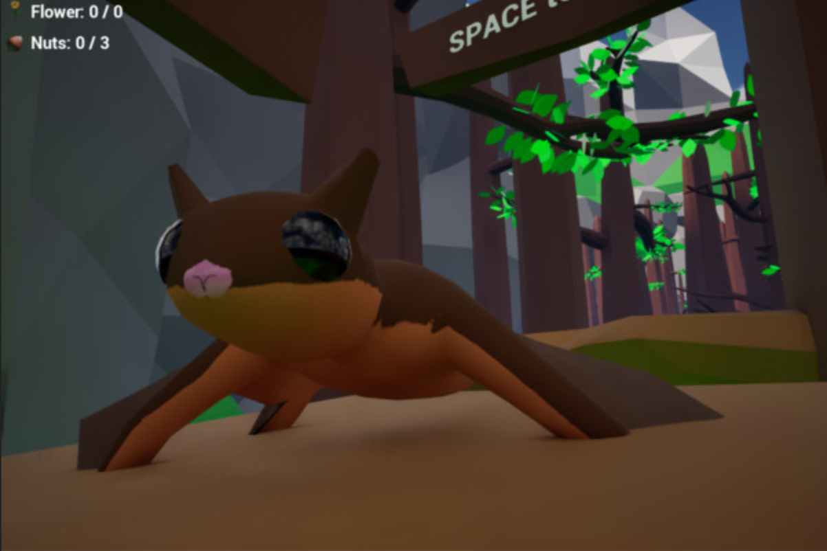 Squirrel Madness